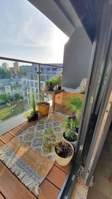 Apartment In City Center Перемишль Екстер'єр фото
